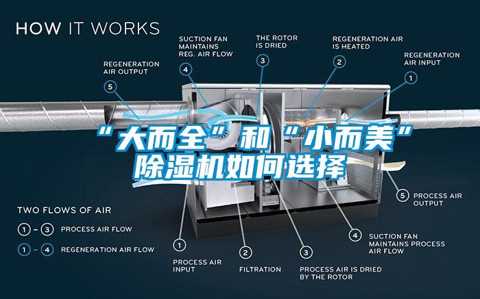 “大而全”和“小而美”粉色视频免费在线观看如何选择