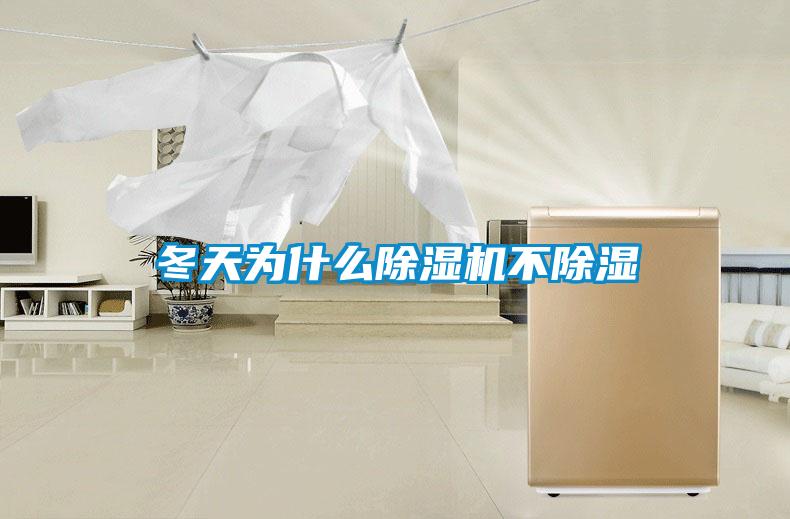冬天为什么粉色视频免费在线观看不除湿