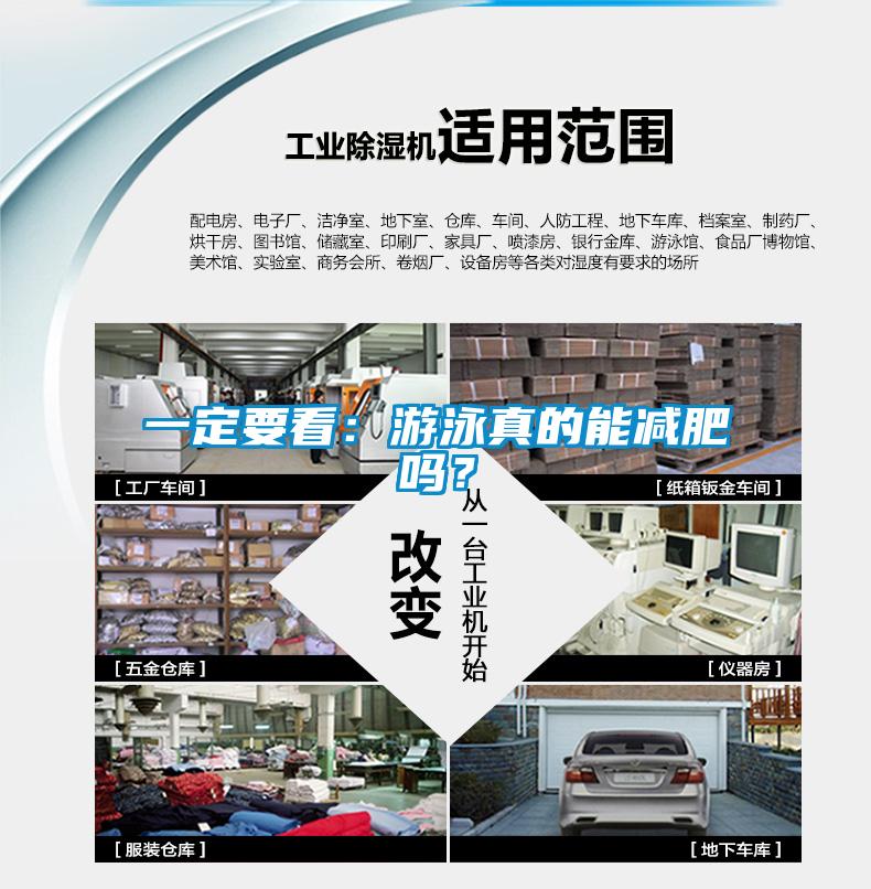 一定要看：游泳真的能减肥吗？