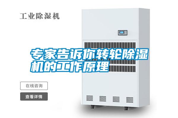 专家告诉你转轮粉色视频免费在线观看的工作原理