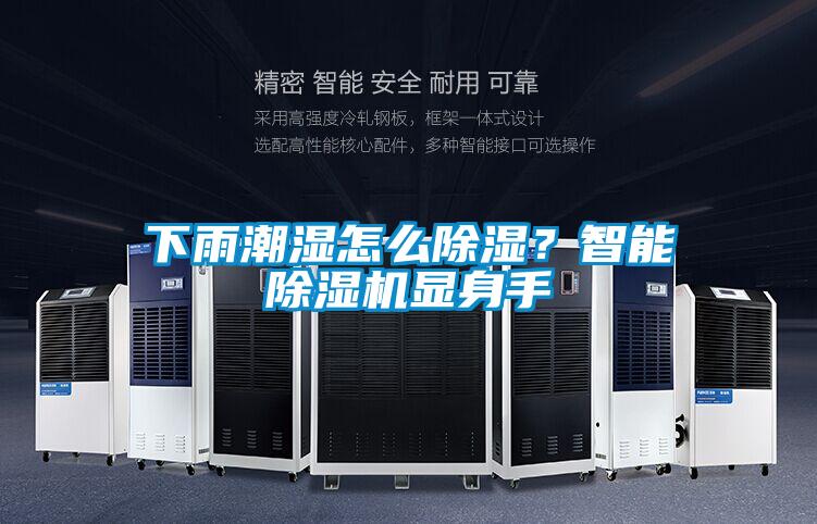 下雨潮湿怎么除湿？智能粉色视频免费在线观看显身手