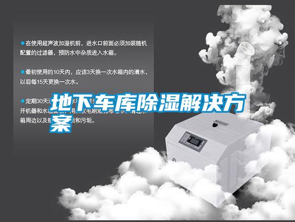 地下车库除湿粉色视频成人