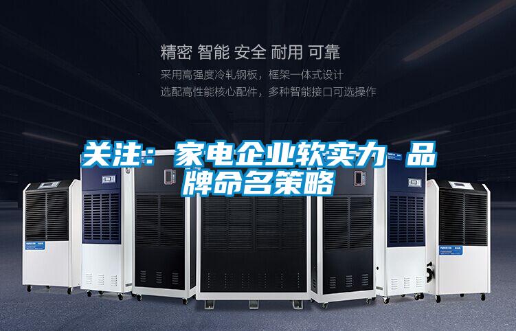 关注：家电企业软实力 品牌命名策略