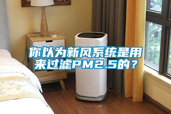 你以为新风系统是用来过滤PM2.5的？