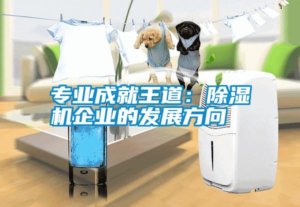 专业成就王道：粉色视频免费在线观看企业的发展方向