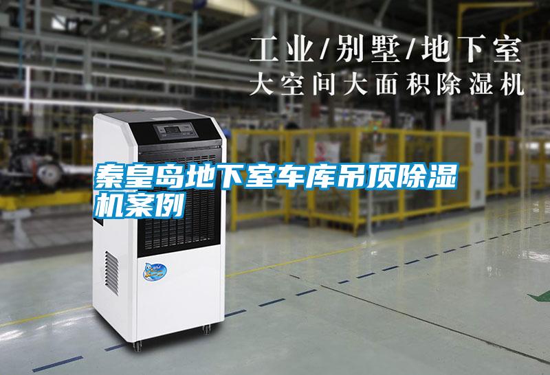 秦皇岛地下室车库吊顶粉色视频免费在线观看案例