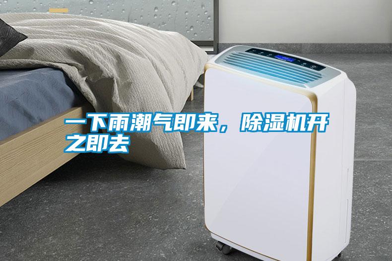 一下雨潮气即来，粉色视频免费在线观看开之即去