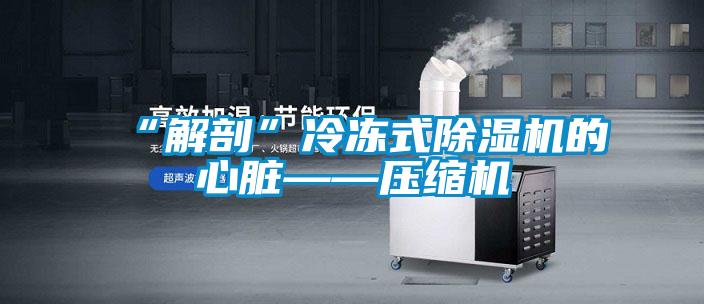 “解剖”冷冻式粉色视频免费在线观看的心脏——压缩机