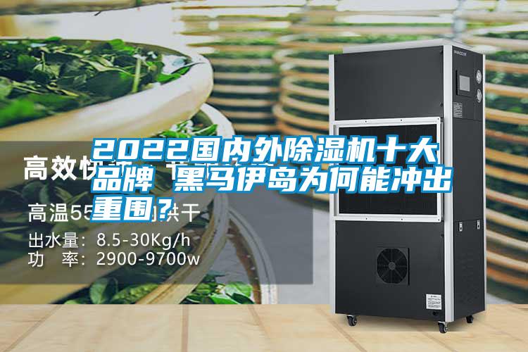 2022国内外粉色视频免费在线观看十大品牌 黑马伊岛为何能冲出重围？