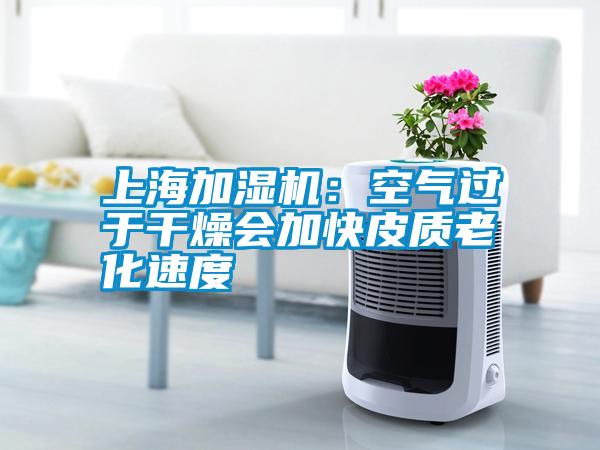 上海加湿机：空气过于干燥会加快皮质老化速度