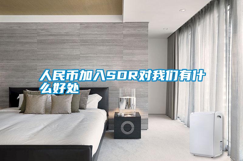 人民币加入SDR对粉色视频下载污有什么好处