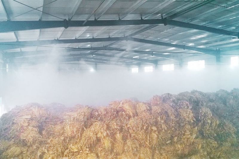 提升烟叶加工质量，高效回潮很重要