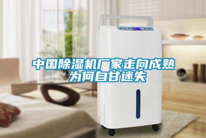 中国粉色视频免费在线观看厂家走向成熟 为何自甘迷失