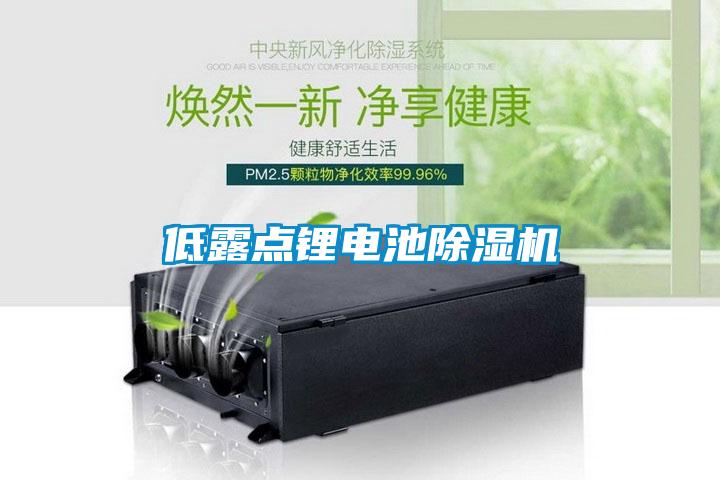 低露点锂电池粉色视频免费在线观看
