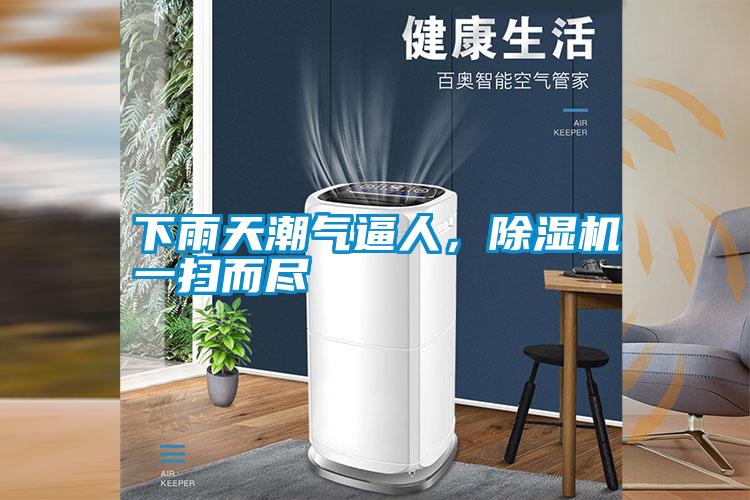 下雨天潮气逼人，粉色视频免费在线观看一扫而尽