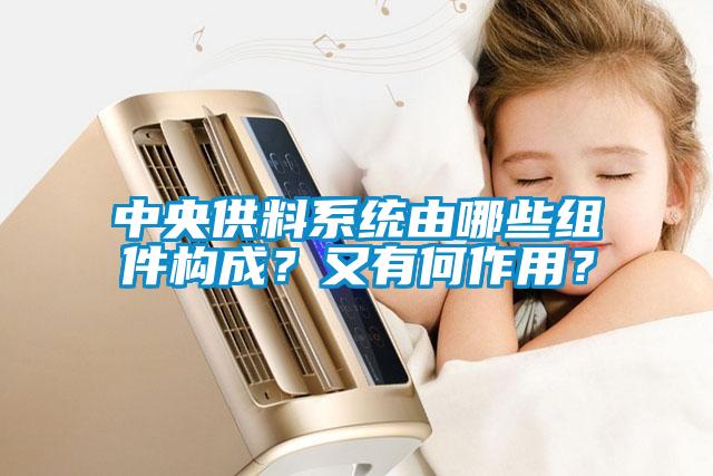 中央供料系统由哪些组件构成？又有何作用？