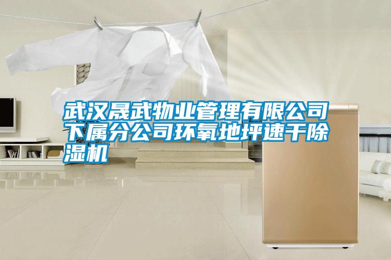 武汉晟武物业管理有限公司下属分公司环氧地坪速干粉色视频免费在线观看