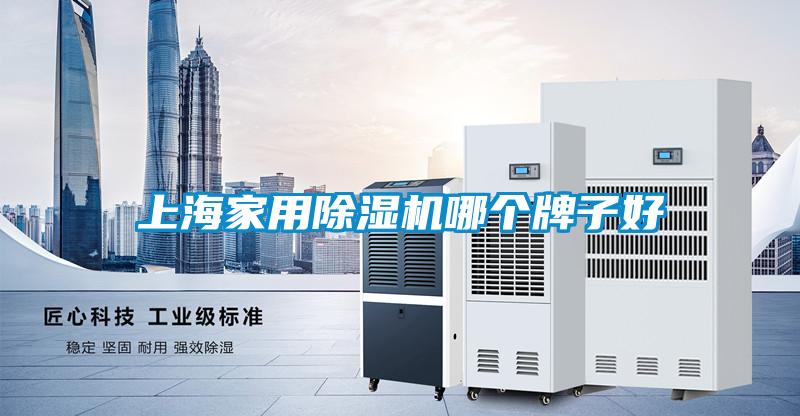 上海家用粉色视频免费在线观看哪个牌子好