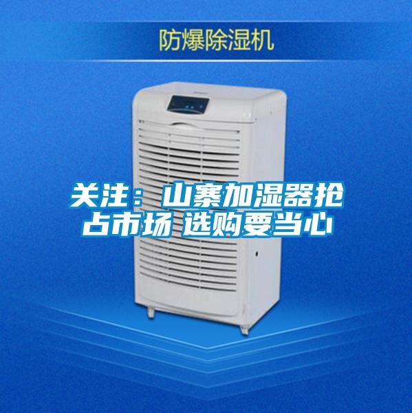 关注：山寨加湿器抢占市场　选购要当心
