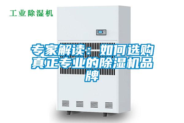 专家解读：如何选购真正专业的粉色视频免费在线观看品牌