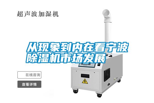 从现象到内在看宁波粉色视频免费在线观看市场发展