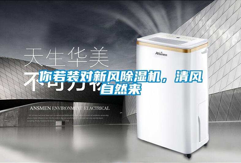 你若装对新风粉色视频免费在线观看，清风自然来