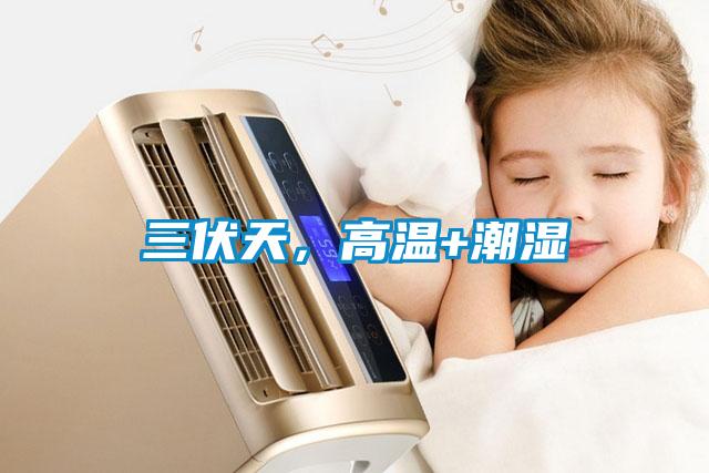 三伏天，高温+潮湿