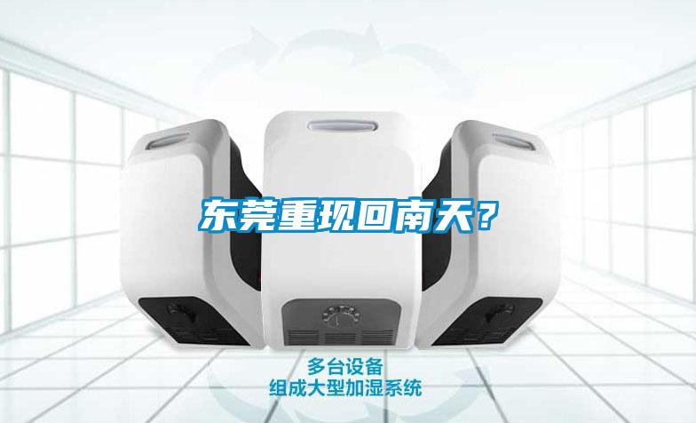 东莞重现回南天？