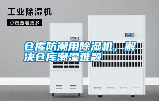 仓库防潮用粉色视频免费在线观看，解决仓库潮湿难题