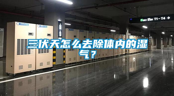 三伏天怎么去除体内的湿气？