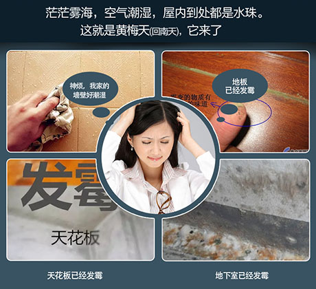 家庭别墅的地下室、卫生间、储物室等该如何除湿？