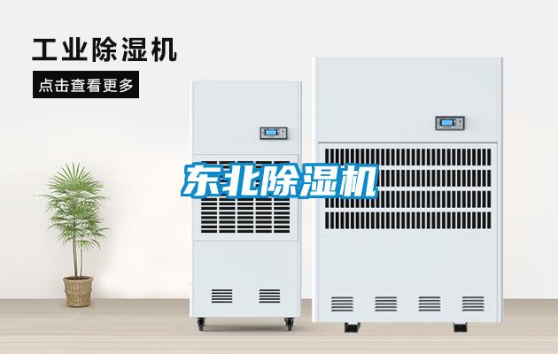 东北粉色视频免费在线观看