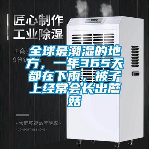 全球最潮湿的地方，一年365天都在下雨，被子上经常会长出蘑菇