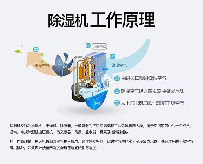 潮湿天气狗最容易患上这种毛病！三个注意事项，铲屎官一定要看看