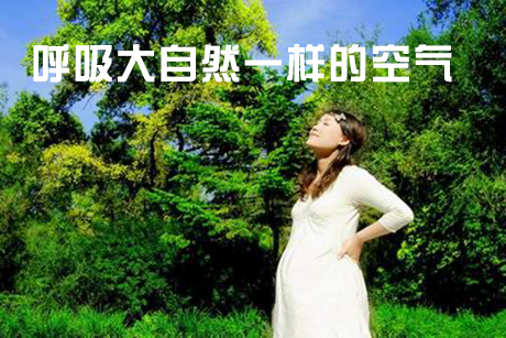 工业粉色视频免费在线观看厂家