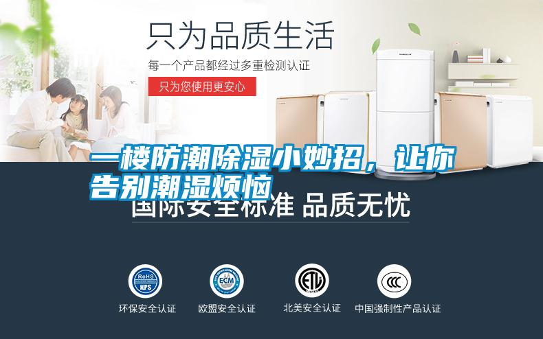 一楼防潮除湿小妙招，让你告别潮湿烦恼