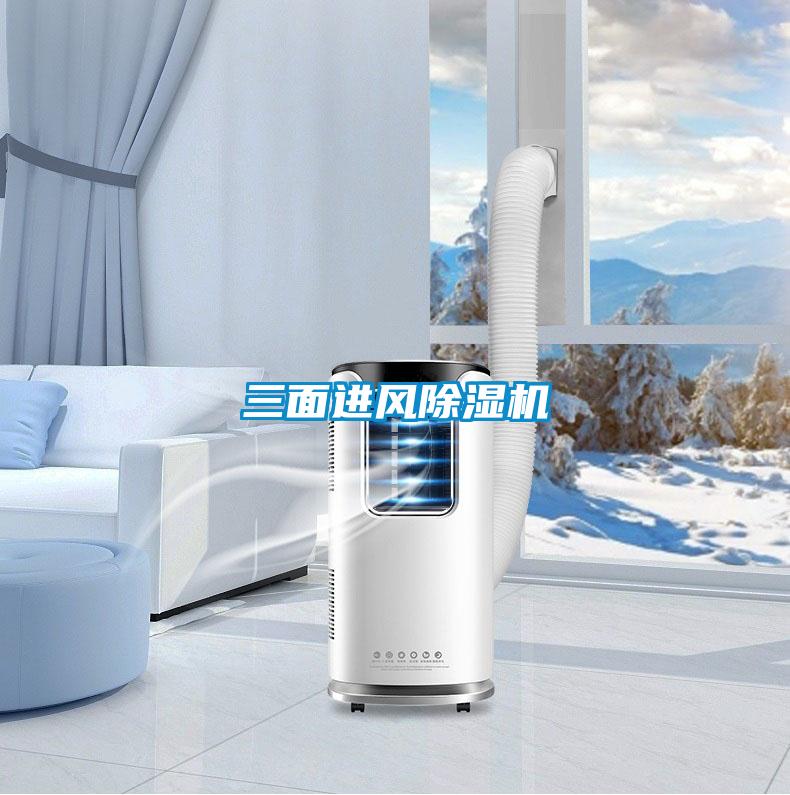 三面进风粉色视频免费在线观看