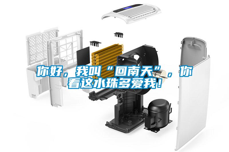 你好，我叫“回南天”，你看这水珠多爱我！
