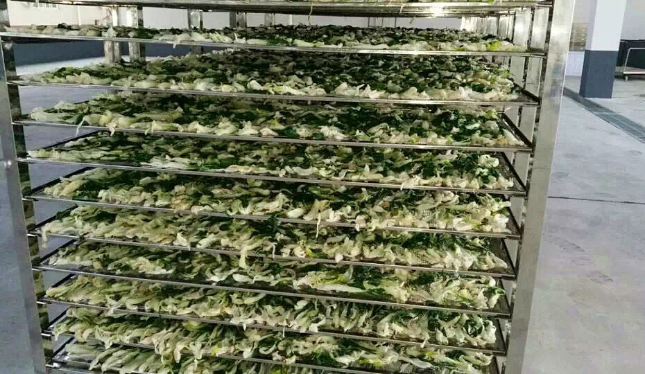 菜干需求一直都很大，蔬菜烘干机很有市场