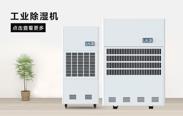 三八节送妈妈的礼物，选这款粉色视频下载污除湿器就对了