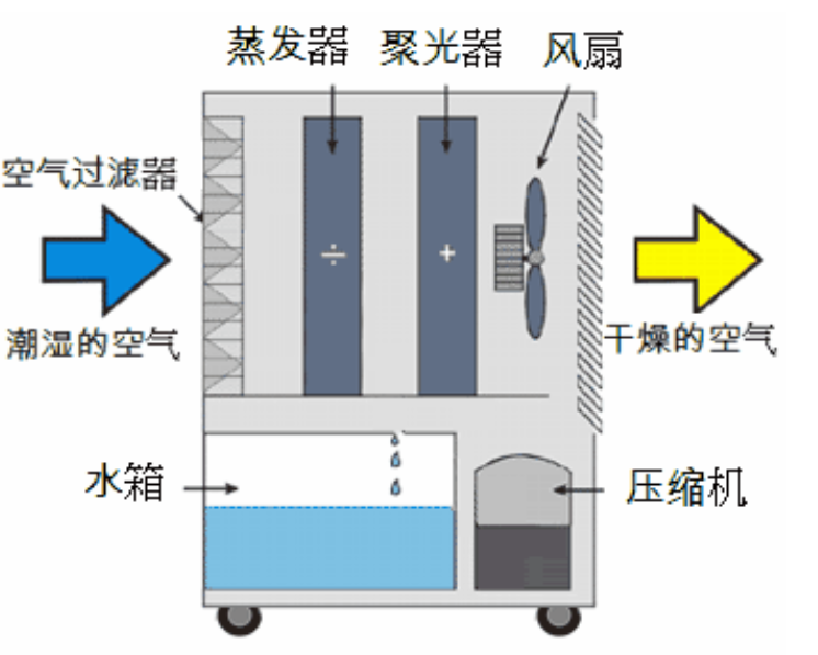 转轮粉色视频免费在线观看启动不正常的原因