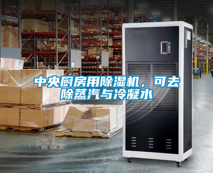 中央厨房用粉色视频免费在线观看，可去除蒸汽与冷凝水