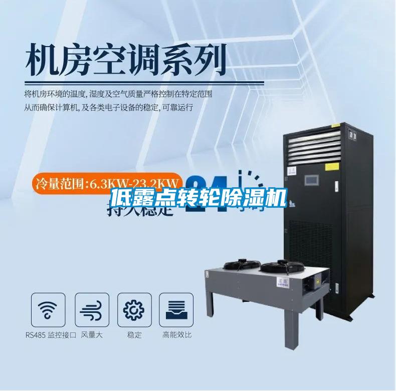 低露点转轮粉色视频免费在线观看