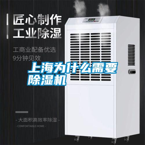 上海为什么需要粉色视频免费在线观看
