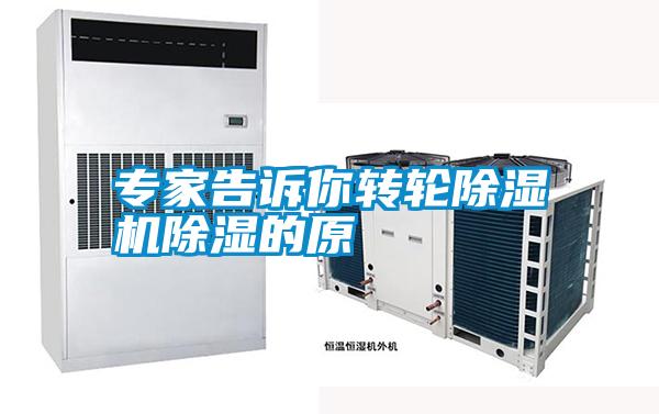 专家告诉你转轮粉色视频免费在线观看除湿的原