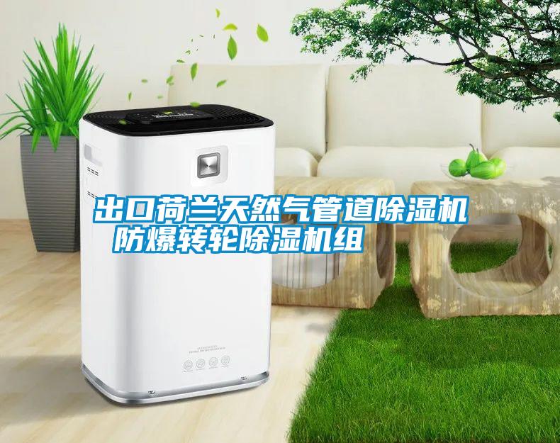 出口荷兰天然气管道粉色视频免费在线观看 防爆转轮粉色视频免费在线观看组