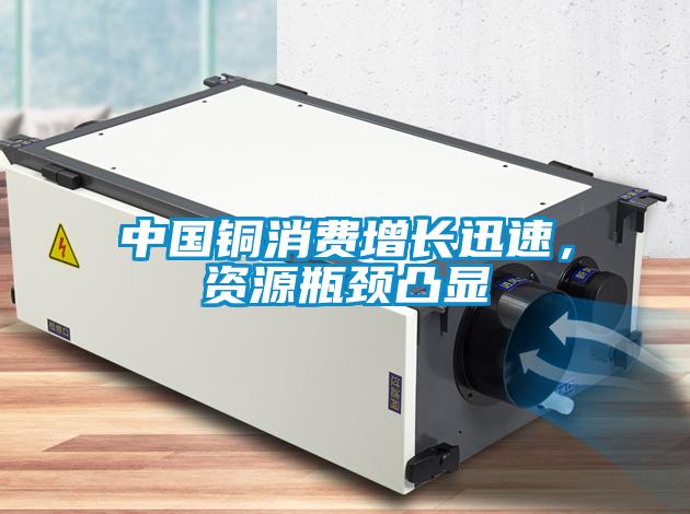 中国铜消费增长迅速，资源瓶颈凸显
