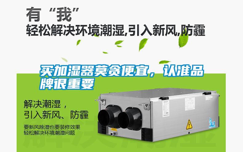 买加湿器莫贪便宜，认准品牌很重要