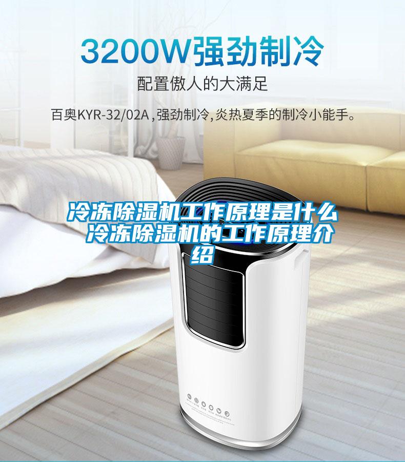 冷冻粉色视频免费在线观看工作原理是什么 冷冻粉色视频免费在线观看的工作原理介绍
