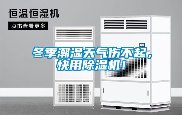 冬季潮湿天气伤不起，快用粉色视频免费在线观看！